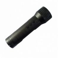 LED Flashlight 2.0 MP Digital Camera DVR Video and Audio Recorder IR Nightvision